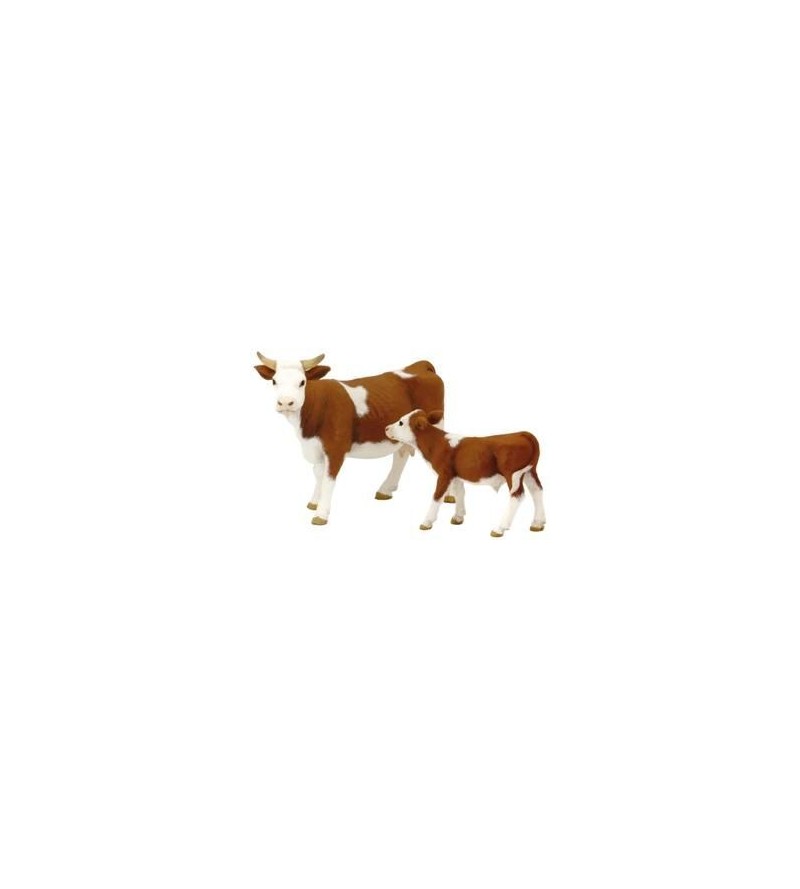 Vaca Simmental