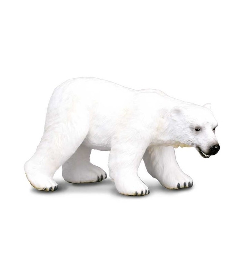 COLLECTA OSO POLAR -L-...