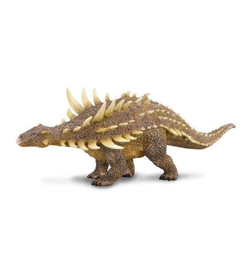 COLLECTA POLACANTHUS -L-...