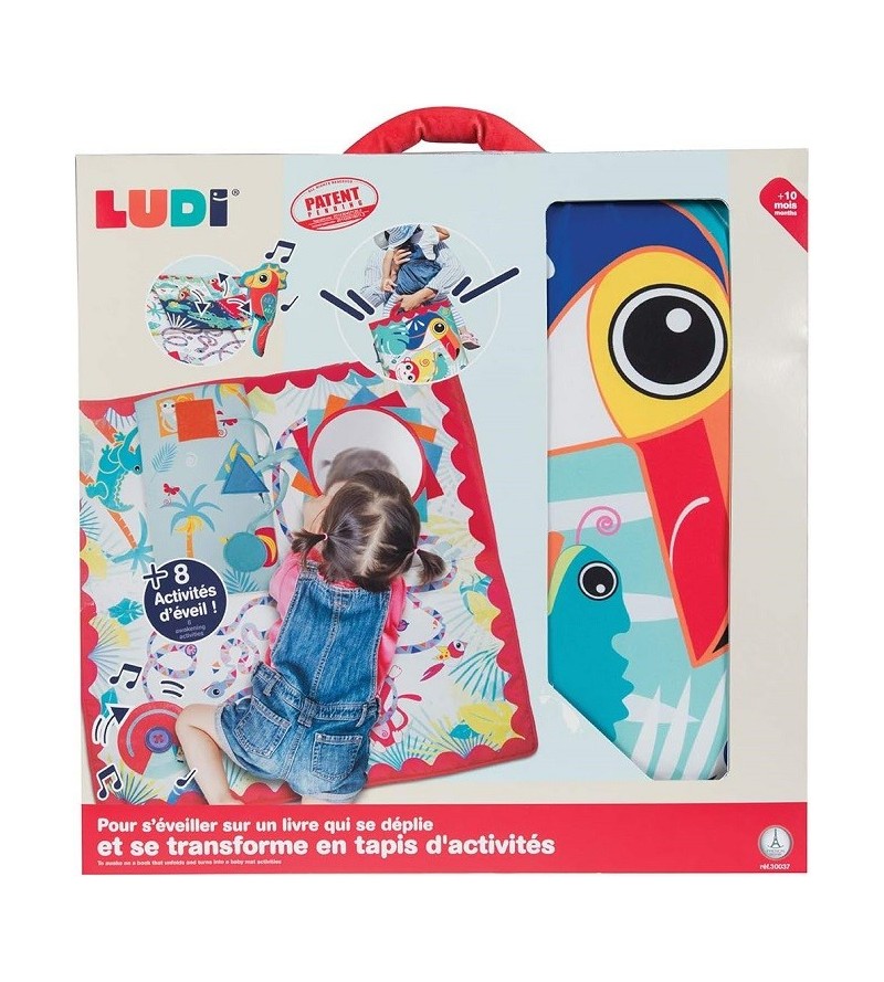 LUDIS TAPETE ACTIVIDADES...