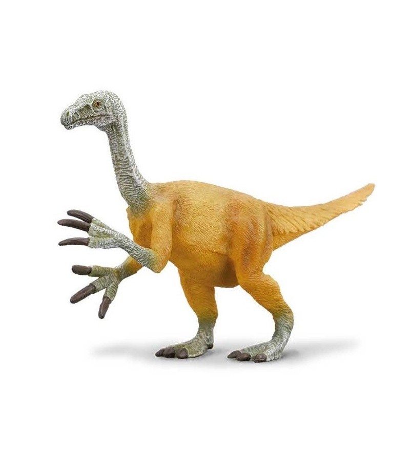COLLECTA NOTHRONYCHUS -L-...